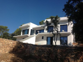 Architectural villa with swimming pool